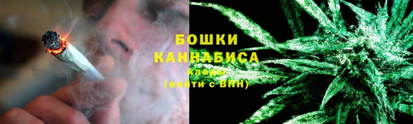 ПСИЛОЦИБИНОВЫЕ ГРИБЫ Богородицк