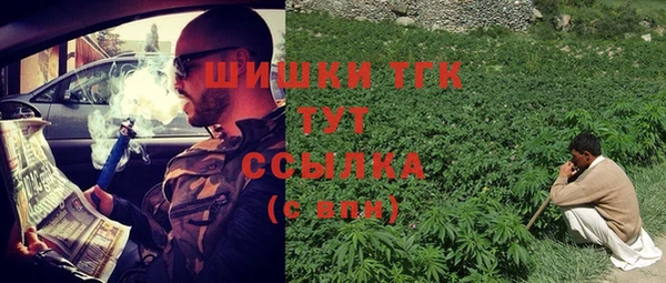 амф Богородск