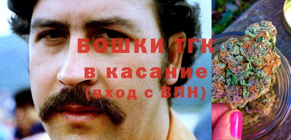 ПСИЛОЦИБИНОВЫЕ ГРИБЫ Богородицк