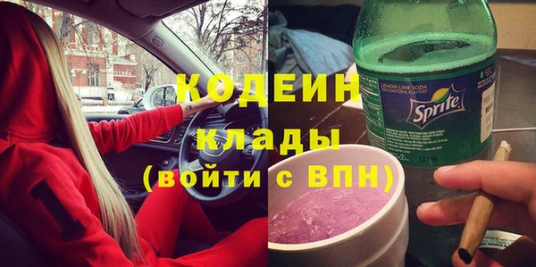 молекула духа Осинники
