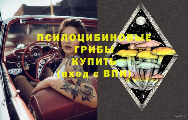 молекула духа Осинники