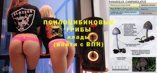 ПСИЛОЦИБИНОВЫЕ ГРИБЫ Богородицк