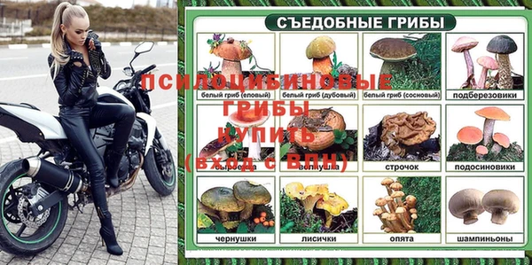 амф Богородск