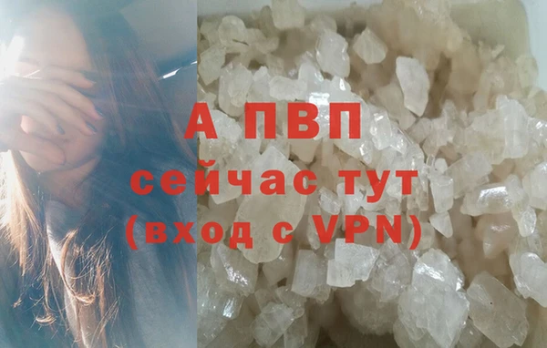ПСИЛОЦИБИНОВЫЕ ГРИБЫ Богородицк