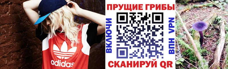 хочу наркоту  Кондопога  mega ONION  Галлюциногенные грибы Psilocybe 